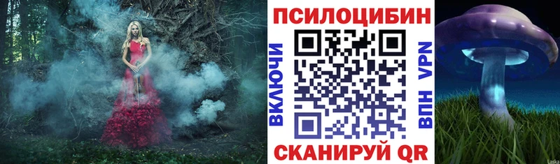 где купить   Верхотурье  Псилоцибиновые грибы Psilocybe 